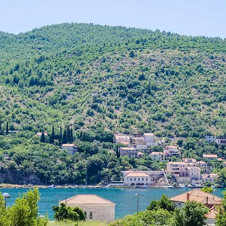 Festina Lente * Mokošica